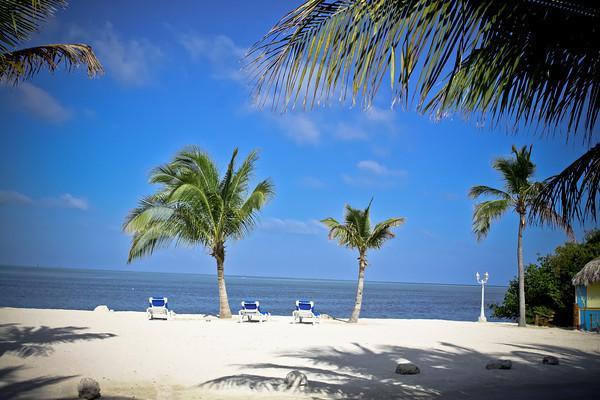 Coconut Cove Resort & Marina Islamorada Ngoại thất bức ảnh